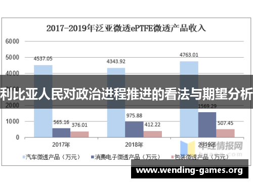 利比亚人民对政治进程推进的看法与期望分析