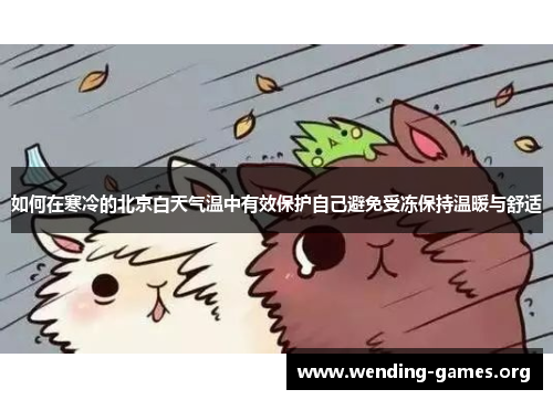 如何在寒冷的北京白天气温中有效保护自己避免受冻保持温暖与舒适