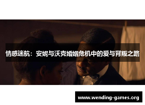 情感迷航：安妮与沃克婚姻危机中的爱与背叛之路