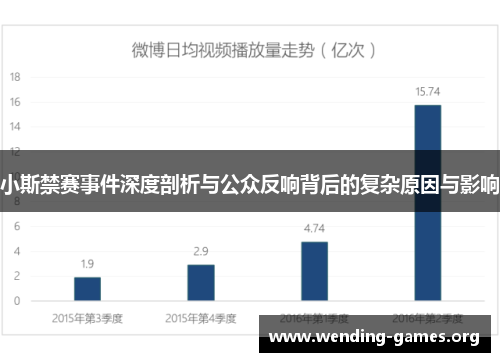 小斯禁赛事件深度剖析与公众反响背后的复杂原因与影响