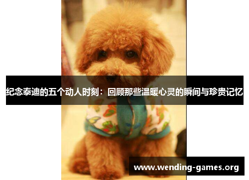 纪念泰迪的五个动人时刻：回顾那些温暖心灵的瞬间与珍贵记忆