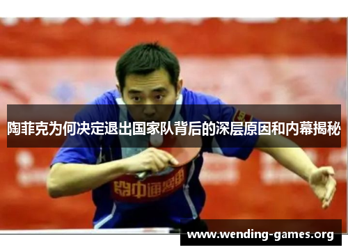 陶菲克为何决定退出国家队背后的深层原因和内幕揭秘